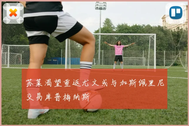 苏莱渴望重返尤文或与加斯佩里尼交易库普梅纳斯
