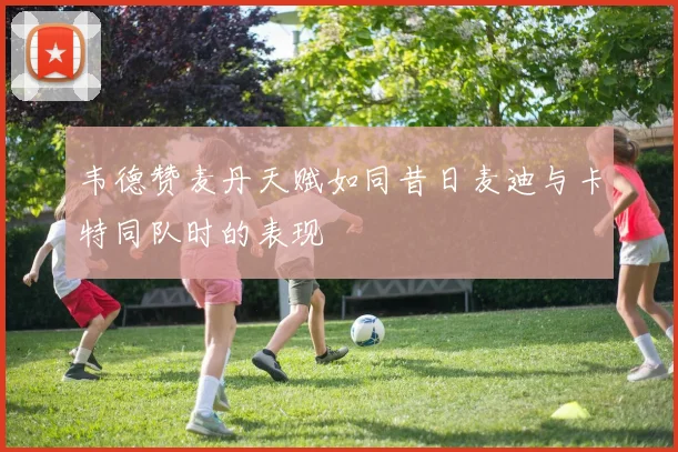 韦德赞麦丹天赋如同昔日麦迪与卡特同队时的表现